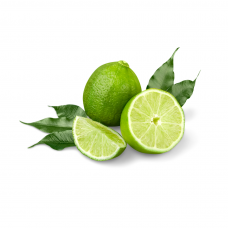 Purée de fruits agrumes 1 Kg - Citron vert