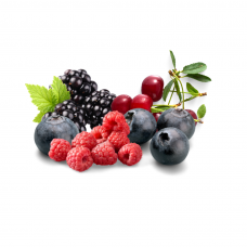 Purée de fruits rouges 1 Kg - Fruits des bois