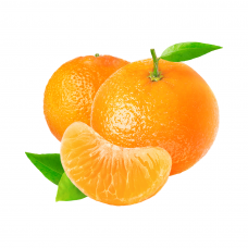 Purée de fruits agrumes 1 Kg - Mandarine