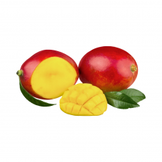 Purée de fruits exotiques 1 Kg - Mangue