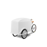 Triporteur à glace - avec 8 à 10 heures d’autonomie avec 6+6 Carapine - Prix à partir de 21.056,00€